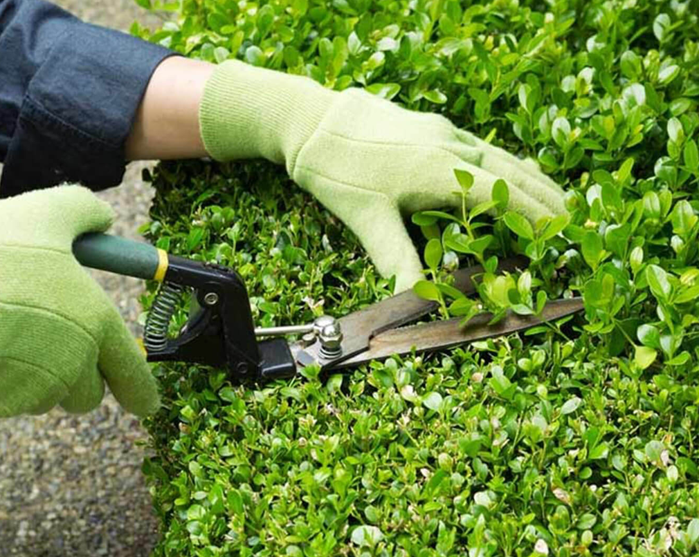 En este momento estás viendo Calles y espacios comunes